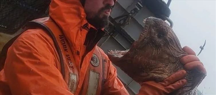 Underwater Realm Remains a Mystery - 30 Unseen Unheard Sea Creatures