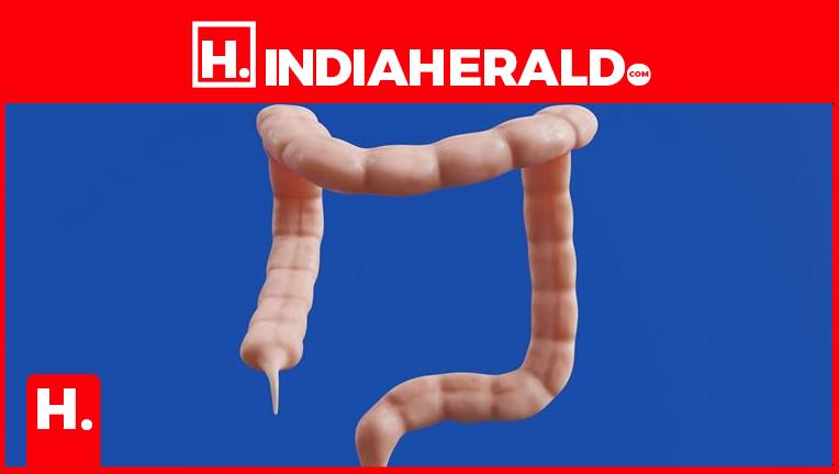 What You Eat Can Hurt Your Appendix - Avoid These Foods At