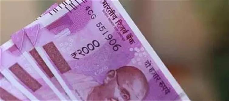 బిజినెస్: రూ.16 వేలతో 5 నెలల్లోనే చేతికి ఏకంగా రూ.15 లక్షలు!