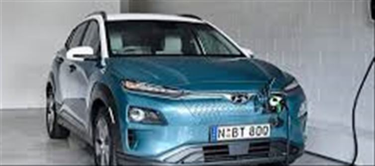 EV: What is India's target by 2030?