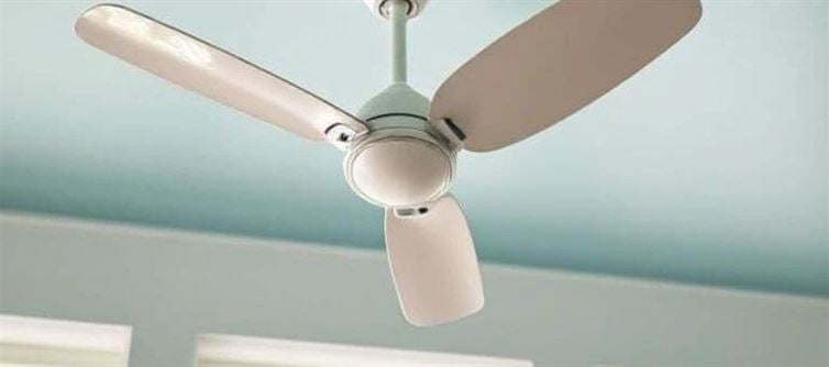 Nice 3-Blade Fans for Your Property Integrated 2025: