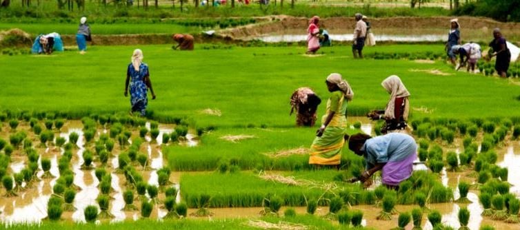 రైతులకు శుభవార్త.. మళ్లీ అకౌంట్ లోకి డబ్బులు జమ..