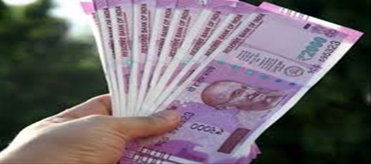 Small Business Idea: Big profit in a short time!!!