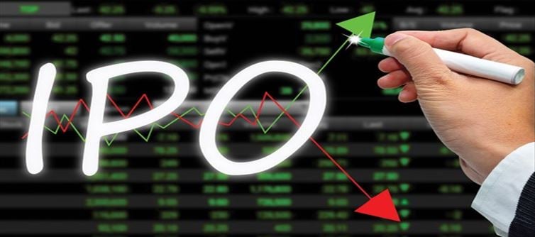 What is the size of the IPO, Subscription and Listing Details?