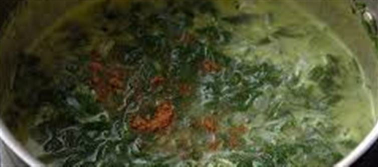 Spinach Soup Recipe And Fitness Blessings