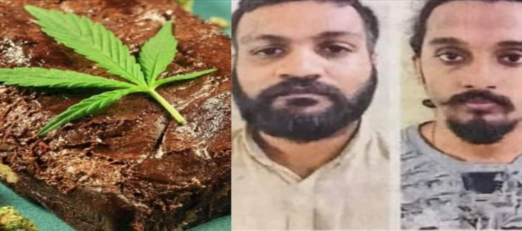 SHOCKING..! Cannabis through cake to school students..!?