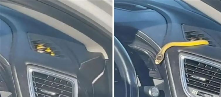 కార్ పార్క్ చేసి పొరపాటున కిటికీ తెరిచే ఉంచాడు.. ఇక మరునాడు ఏసి ఆన్ చేస్తే?