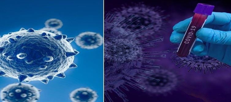 Health Secretary urges district collectors to monitor mutated virus!!
