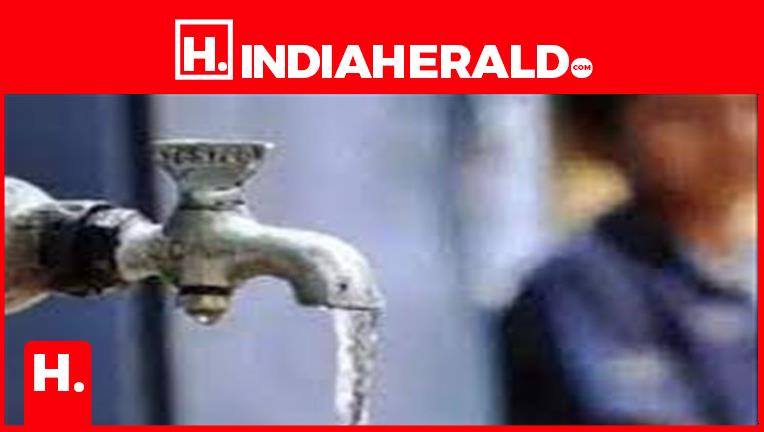 It S Summer How To Use Water Sparingly it-s-summer-how-to-use-water-sparingly