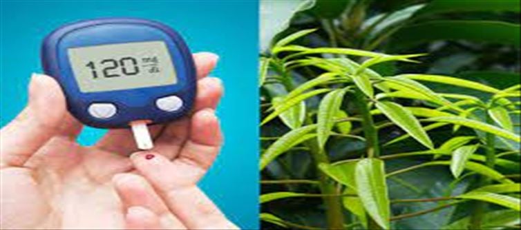 Remedy: Green leaves reduce diabetes risk!!!