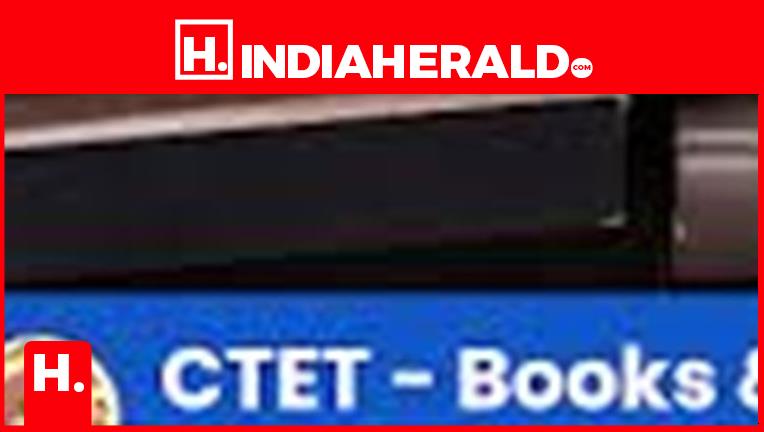 Didn’t Land a Government Teaching Job Even After Clearing CTET? Earn a Successful Career Anyway