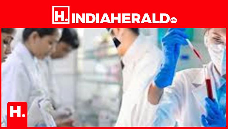 MPESB Group 5 Recruitment 2026: Applications Open for Paramedical and Healthcare Posts