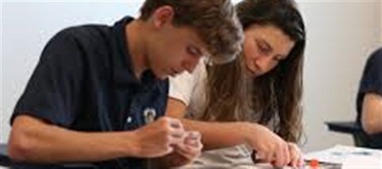 What is Rhetorical Curriculum and what does it focus?