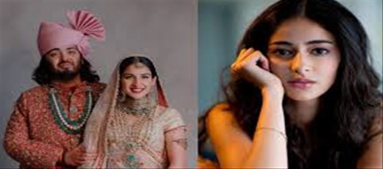 Were celebs paid to attend Anant Ambani's wedding?