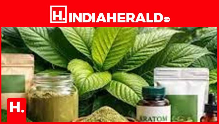 🍬 Best Kratom Vendors for Gummies (Taste-Tested & Lab-Verified Picks)