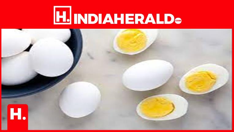 Egg Yolks Help with Weight Loss?