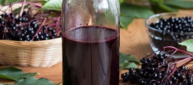 8 Most First-Rate Fitness Blessings Of Elderberry