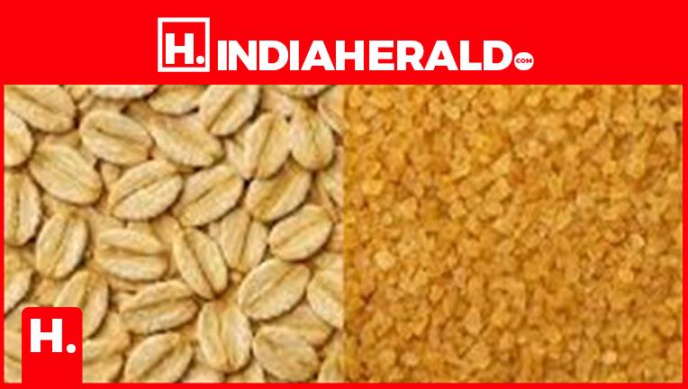 🥣 Oats vs Dalia: Which Breakfast Bowl Is Better For Gut Health And Weight Loss?