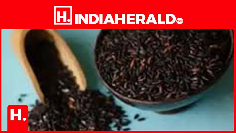Ancient Assamese Rice Becoming A Globally Recognized Superf