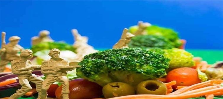 Army Diet Plan: Lose Weight in three days?