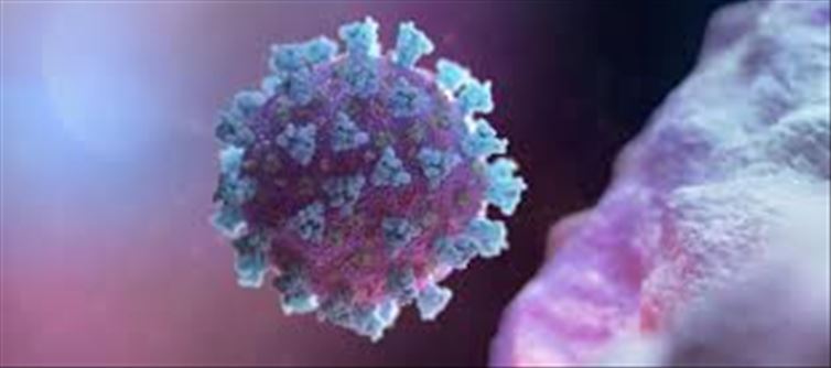 സംസ്‌ഥാനത്ത്‌ കോവിഡ് മരണം സ്‌ഥിരീകരിച്ചു, മരിച്ചത് കൊല്ലം സ്വദേശി.