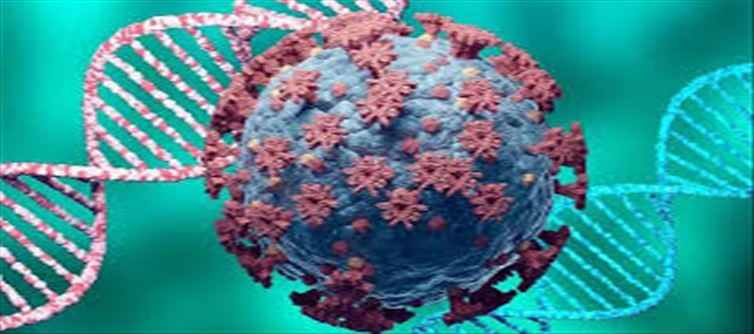Declining Corona cases..? To withdraw RTPCR testing..?