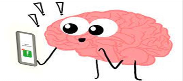 Dopamine's Reward Pathway: The Link Between Pleasure and Behavior.!