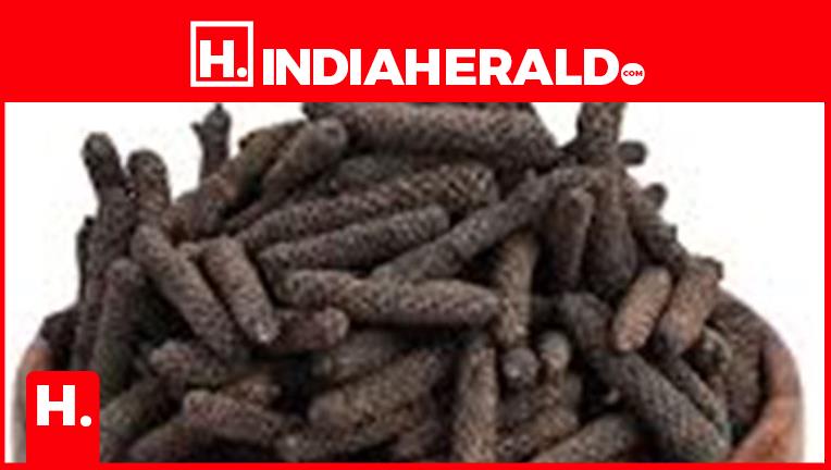 Fitness Advantages Of Pippali (Long Pepper)