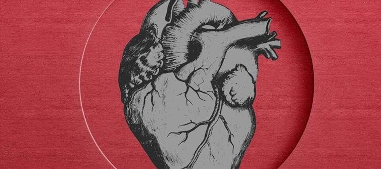How Diabetes Increases Coronary Heart Disease Risk