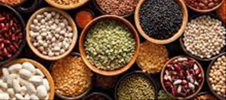How Pulses Are Dietary Powerhouses: The Fitness Blessings Of Pulses