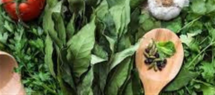 How to Keep Herbs Fresh for Longer: Easy Tips and Tricks