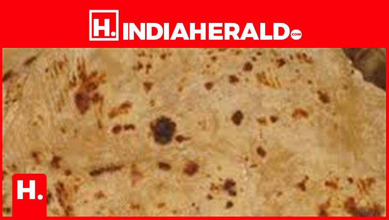 Is Chapati Precise For Diabetes?