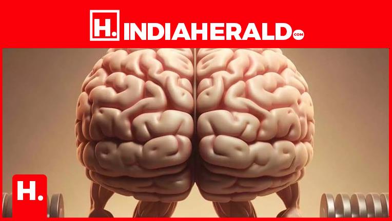 Random Lasing Brain Is Your Laziness Affecting Your Brain?
