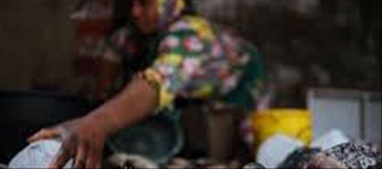 Meat and fish banned in this city, will not be sold?