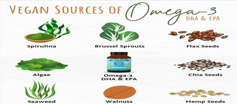 Plant-based foods also contain Omega-3 fatty acids...