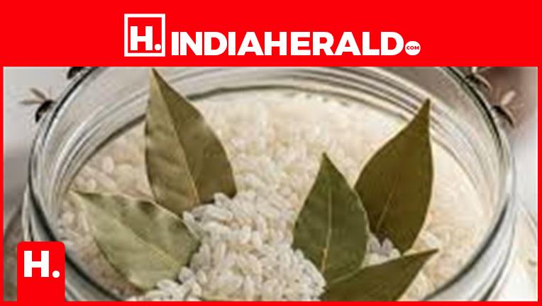 Rice Storage Tips: 8 Easy Kitchen Hacks to Keep Rice Fresh,