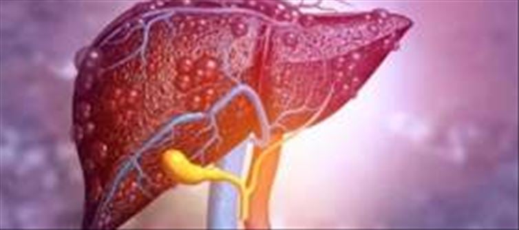 Shield your liver from harm in these ways