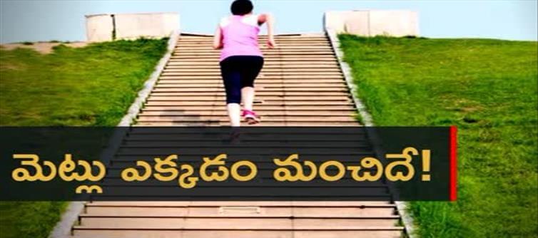 మెట్లు ఎక్కడం వల్ల ఇన్ని లాభాలా..?