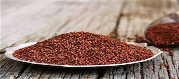 Surprising benefits of Ragi..!? But, these people should not eat..!?