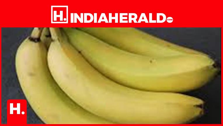 The Surprising Health Benefits of Banana Plants