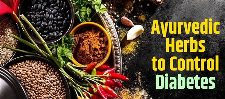 This Ayurvedic herb will reduce the level of HBA1C and blood sugar in diabetes