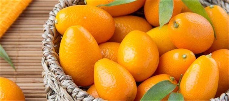 Validated Health Advantages Of Kumquat