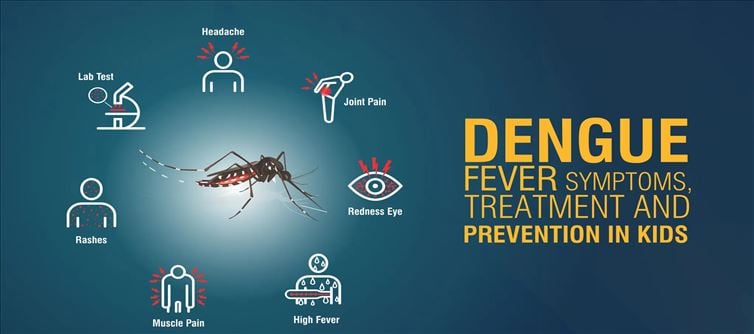 What is the way to prevent various infections like dengue?
