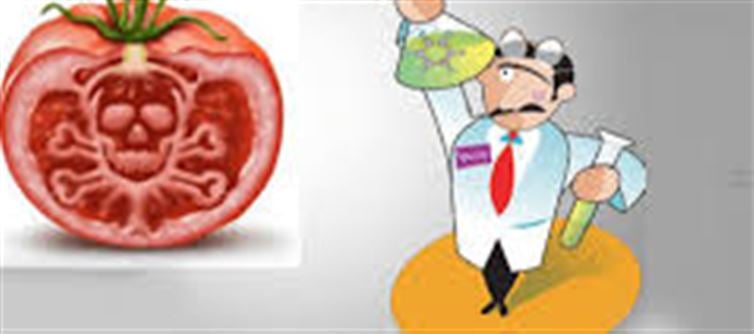 Which states registered the most food item complaints?