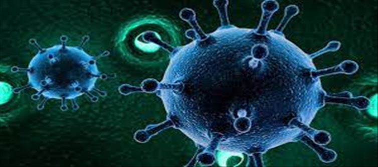 Why are viruses more common here?