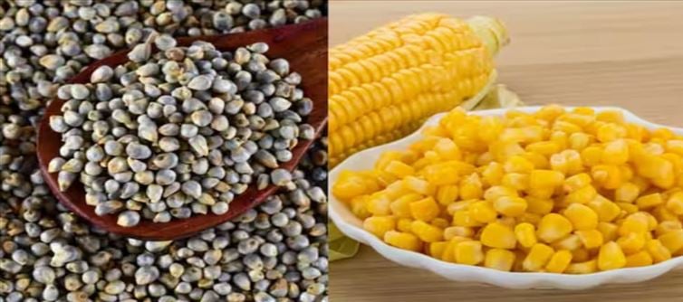 Why Should You Consume Bajra And Makka During Winter? Know Health Benefits