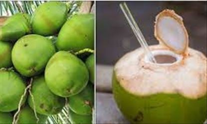 இளநீரால் ஏற்படும் நன்மைகள் என்ன?