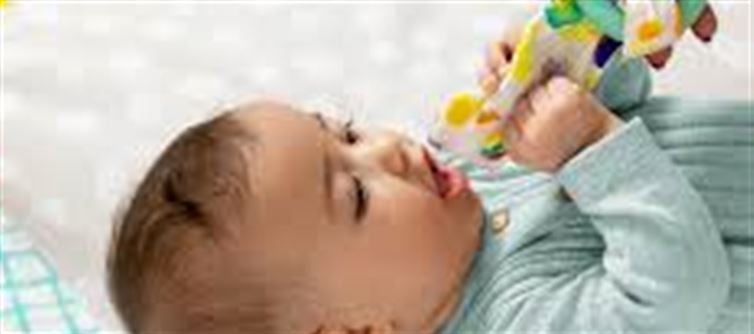 Why Do Infants Put The Whole Lot In Their Mouths?