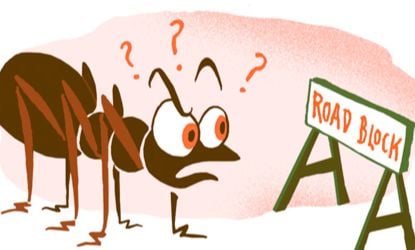 బాటకు బంధం, నల్లపూసల అందం... ఏంటదీ?