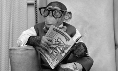 The Monkey judge